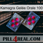 Kamagra Gelée Orale 100 15